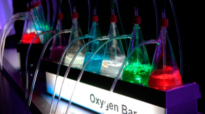 Why Add an Oxygen Bar to Your Event?